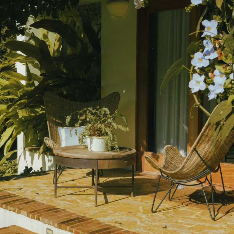 Guide anti-moustiques : 6 astuces pour passer des soirées paisibles au jardin